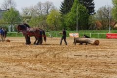 img_2756-fuhrmanstag-kemnitz-2013