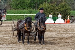 img_2769-fuhrmanstag-kemnitz-2013