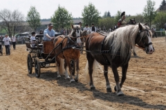 img_3004-fuhrmanstag-kemnitz-2013