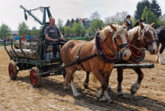 img_3015-fuhrmanstag-kemnitz-2013