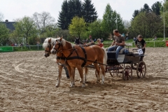 img_3038-fuhrmanstag-kemnitz-2013