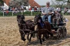 img_3046-fuhrmanstag-kemnitz-2013