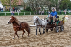 img_3047-fuhrmanstag-kemnitz-2013