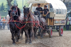 img_3072-fuhrmanstag-kemnitz-2013