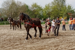 img_3107-fuhrmanstag-kemnitz-2013