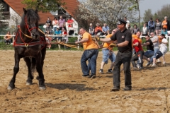 img_3119-fuhrmanstag-kemnitz-2013