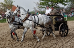 img_3130-fuhrmanstag-kemnitz-2013