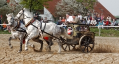 img_3138-fuhrmanstag-kemnitz-2013