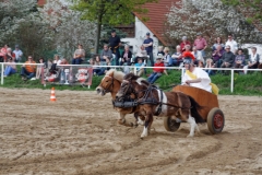 img_3165-fuhrmanstag-kemnitz-2013