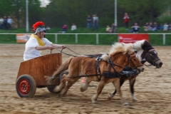 img_3169-fuhrmanstag-kemnitz-2013