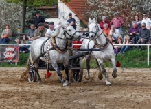 img_3178-fuhrmanstag-kemnitz-2013