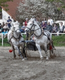 img_3179-fuhrmanstag-kemnitz-2013