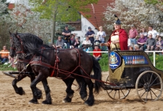 img_3187-fuhrmanstag-kemnitz-2013