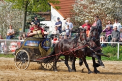 img_3198-fuhrmanstag-kemnitz-2013