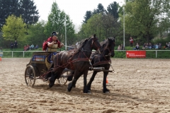 img_3202-fuhrmanstag-kemnitz-2013