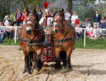 img_3205-fuhrmanstag-kemnitz-2013