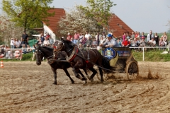 img_3263-fuhrmanstag-kemnitz-2013