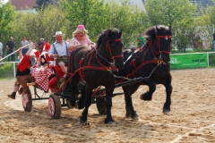 img_3367-fuhrmanstag-kemnitz-2013