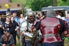 img_5265schlossfest_hainewalde_2013