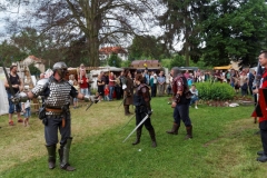 img_5283schlossfest_hainewalde_2013