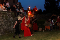 img_5352schlossfest_hainewalde_2013