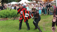 p1260932schlossfest_hainewalde_2013