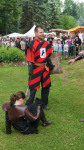 p1260937schlossfest_hainewalde_2013