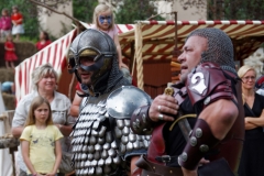 img_5278schlossfest_hainewalde_2013