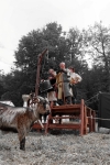 img_4894_brauraubritter_neukirch_2013