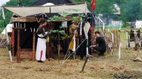 p1260471_brauraubritter_neukirch_2013