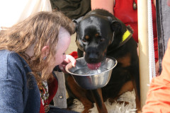 IMG_6449Die_Raubritter_vom_Valtenberg_2016