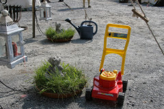 IMG_6745Die_Raubritter_vom_Valtenberg_2016