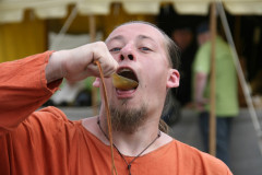 IMG_6864Die_Raubritter_vom_Valtenberg_2016