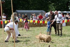 IMG_8270Johannes_Gaudium_2016_Forst