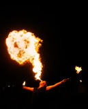 IMG_8514Johannes_Gaudium_2016_Forst