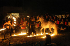 IMG_8619Johannes_Gaudium_2016_Forst