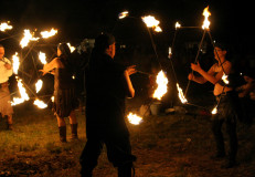 IMG_8634Johannes_Gaudium_2016_Forst