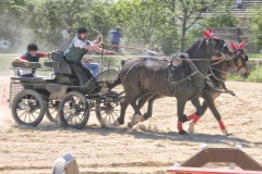 IMG_4812