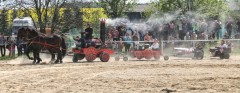 IMG_5231