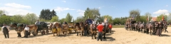 Unbenanntes_Panorama1