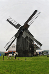 20100524_img_048101