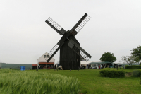20100524_img_048103