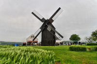 20100524_img_048104