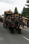 img_8470_bierzug-eibau-2013