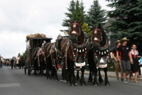 img_8473_bierzug-eibau-2013