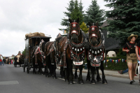 img_8474_bierzug-eibau-2013