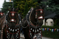 img_8479_bierzug-eibau-2013