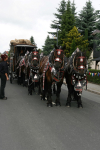 img_8480_bierzug-eibau-2013