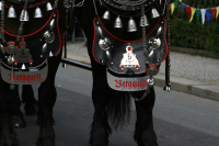 img_8482_bierzug-eibau-2013