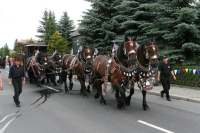 img_8485_bierzug-eibau-2013